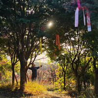 钓鱼佬咖啡头像