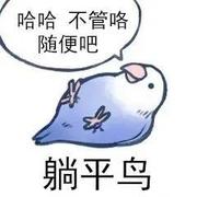 爱睡觉111的个人资料头像