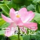 网友的个人资料头像