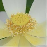 用户8066651591950头像