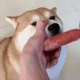 葱姜蒜苔丝头像