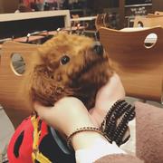 Linse的个人资料头像