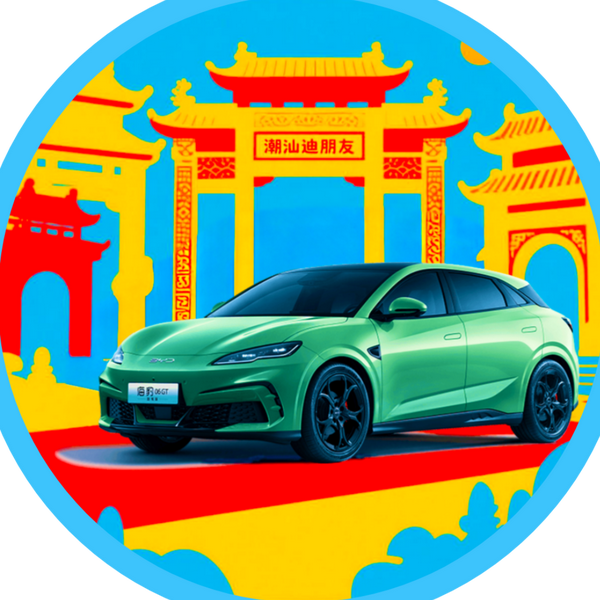 新鸿运比亚迪老朱头像