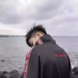 Boy8136头像