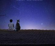 夜空酱的个人资料头像