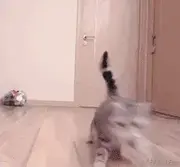 彦祖a的个人资料头像