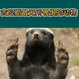 平歩头像