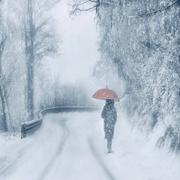 风紧了57的个人资料头像