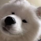 用户1443839756060头像