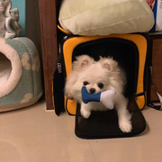 DeanJhuang的个人资料头像