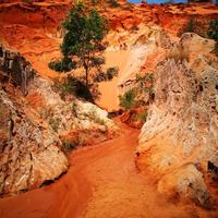 咖啡没有心情有心情的只是喝咖啡的人头像