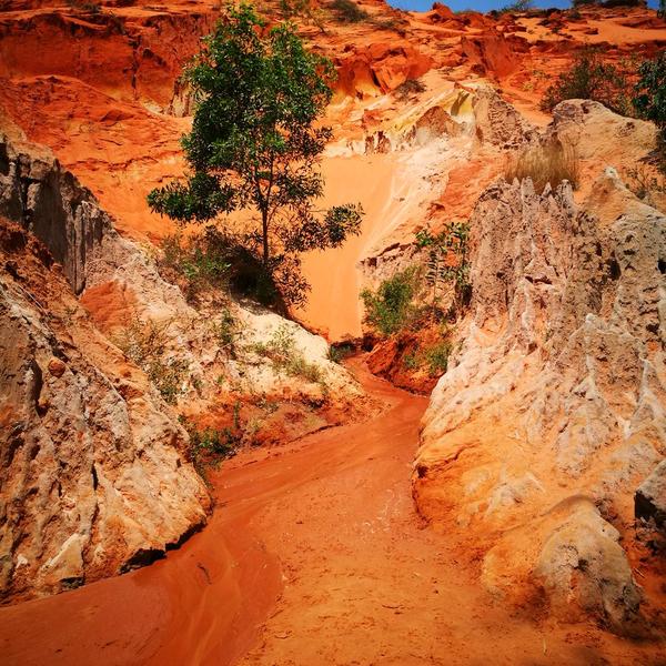 咖啡没有心情有心情的只是喝咖啡的人头像