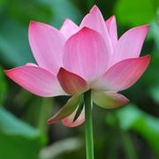 晚上睡觉的个人资料头像