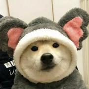 Loveaeen的个人资料头像