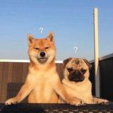 用户4585731755586头像