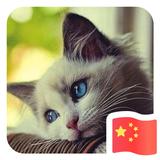 紫枫头像