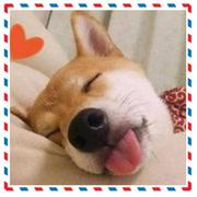 Perseverance的个人资料头像