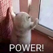 枇杷loquat的个人资料头像