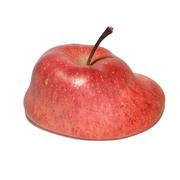 zhy176的个人资料头像
