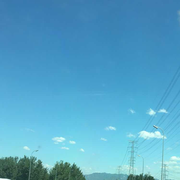 孑孓子的个人资料头像