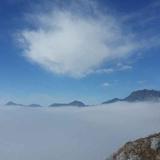猪哥183头像