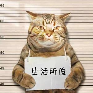 直爽扑克mdm头像