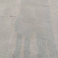 洒脱花猫GoZ头像