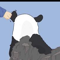 大熊猫萌兰本兰头像