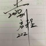 张先森与他的李宝宝头像