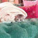 同学87134的个人资料头像