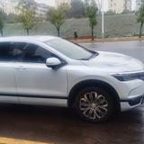 sir540头像