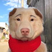 堕落的富婆的个人资料头像