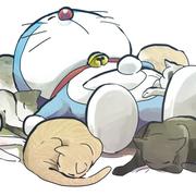 axis675的个人资料头像