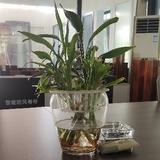 简以述之头像