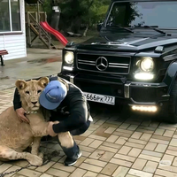 AdilAbdirim402头像