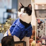 七仔的博客的个人资料头像