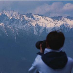 青青旅游头像