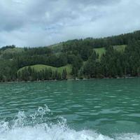 MeiShuai88888888头像