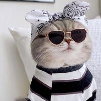 用户2615647598903头像