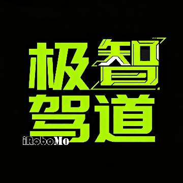 极智驾道头像