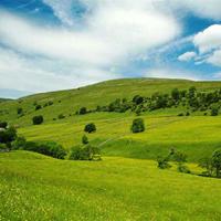 就这样吧6243头像