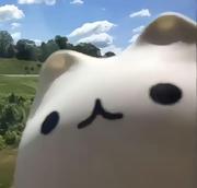 工位上假装人类的个人资料头像