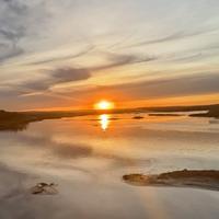 雪碧和鱼香肉丝头像