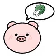 不惊夜的个人资料头像