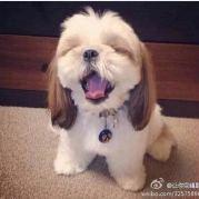 电商小丶军头像