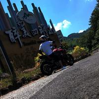 春天里的琴音头像