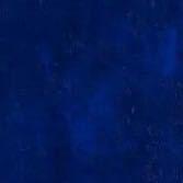 Il的个人资料头像