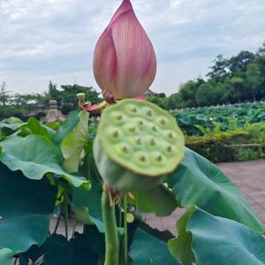 嘻哈每一天头像
