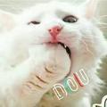 消磨过的时光头像