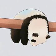 MoMaek的个人资料头像